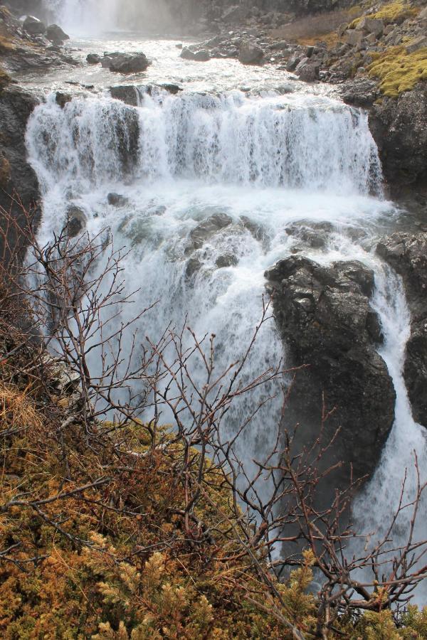 Guesthouse Mora Hagi  Dış mekan fotoğraf